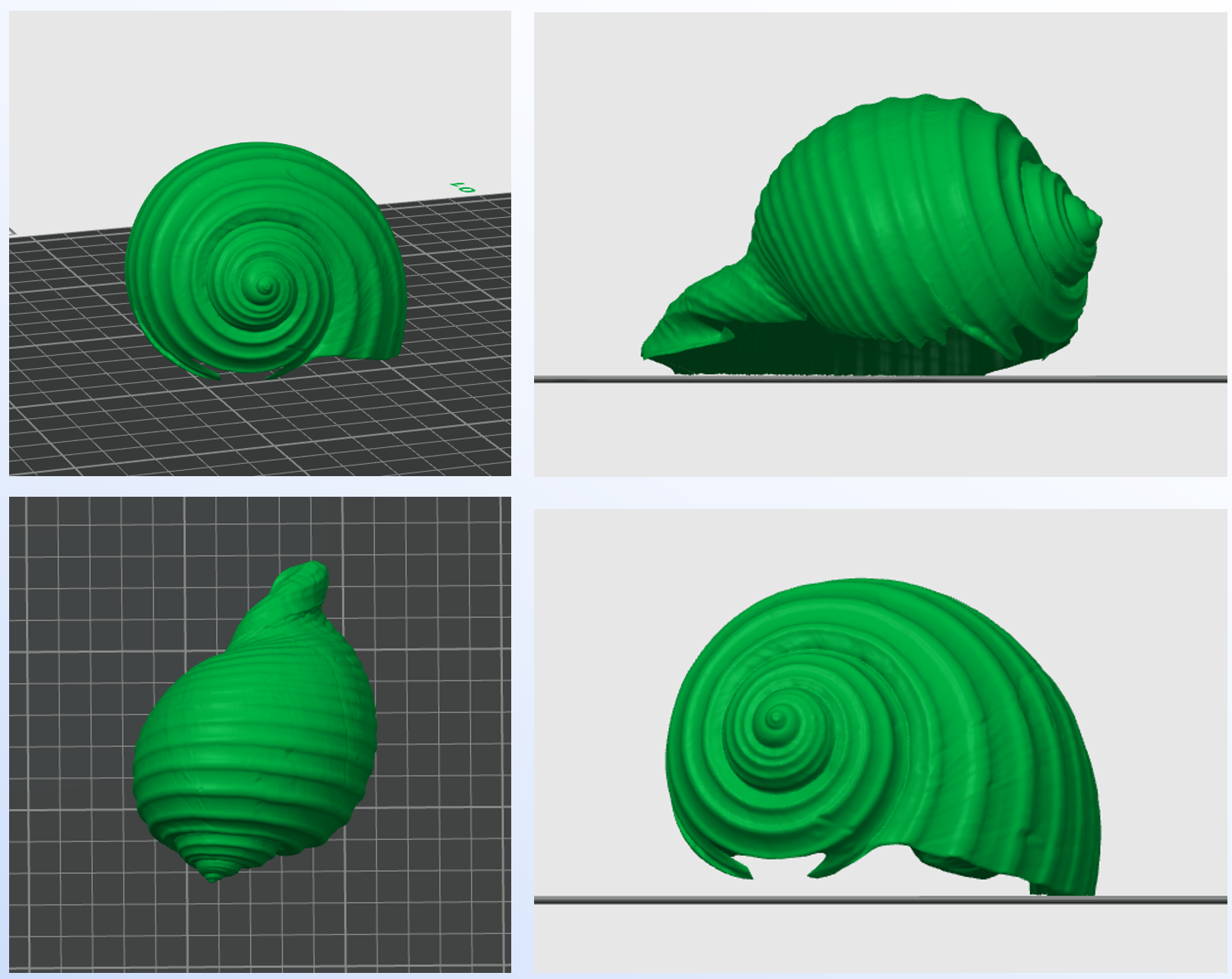 生命形态的力学与数学课程建设