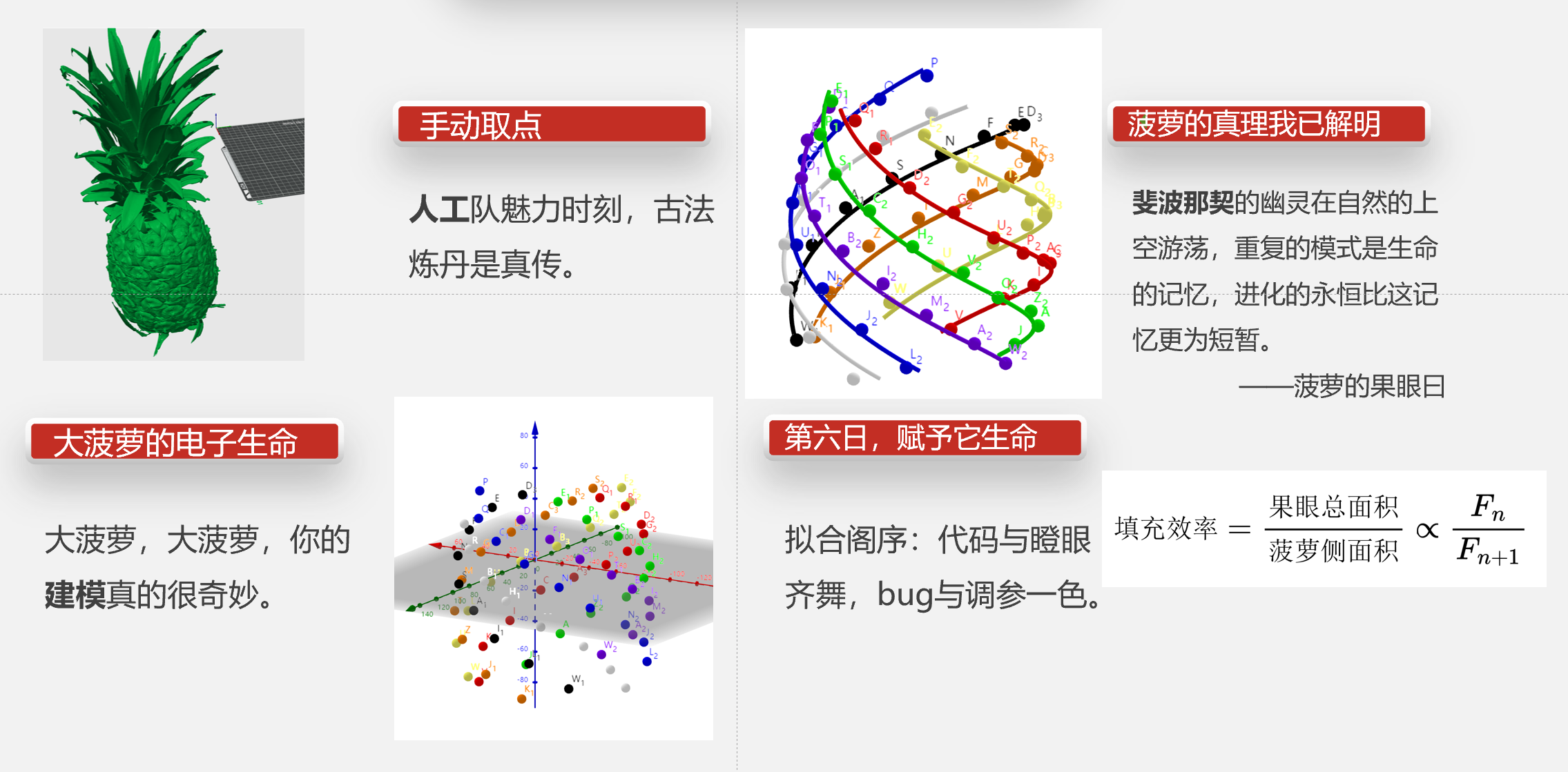 生命形态的力学与数学课程建设