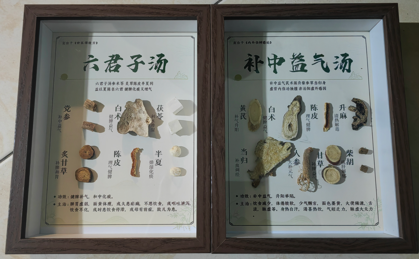 基于智能硬件的中草药的智能识别