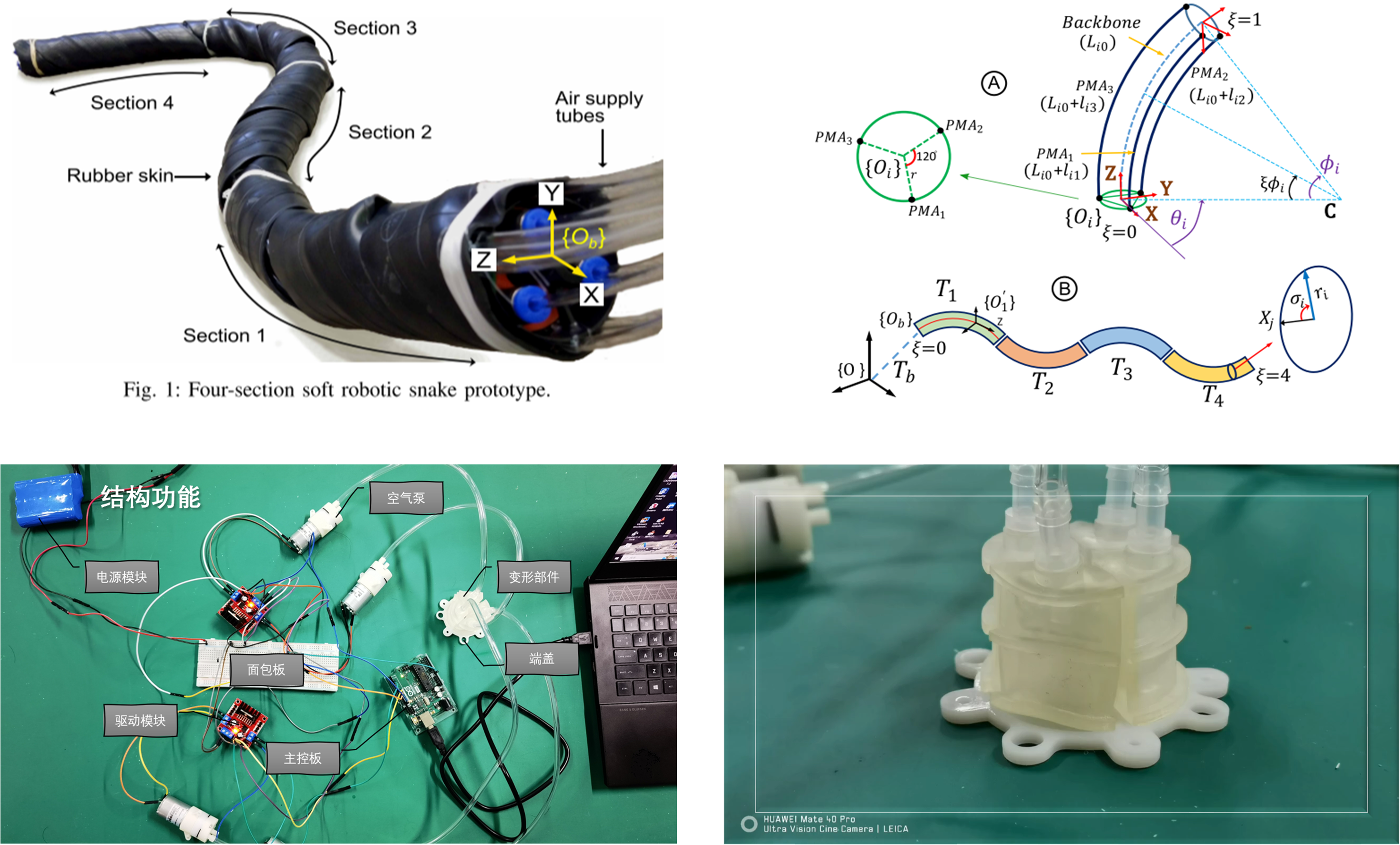 仿生学探索与实践