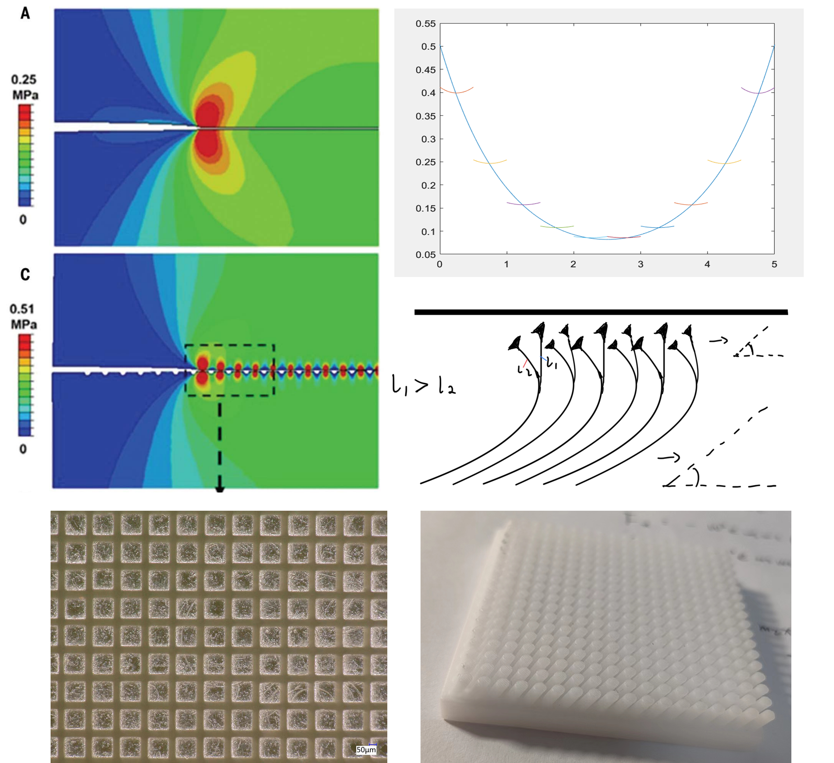 仿生学探索与实践