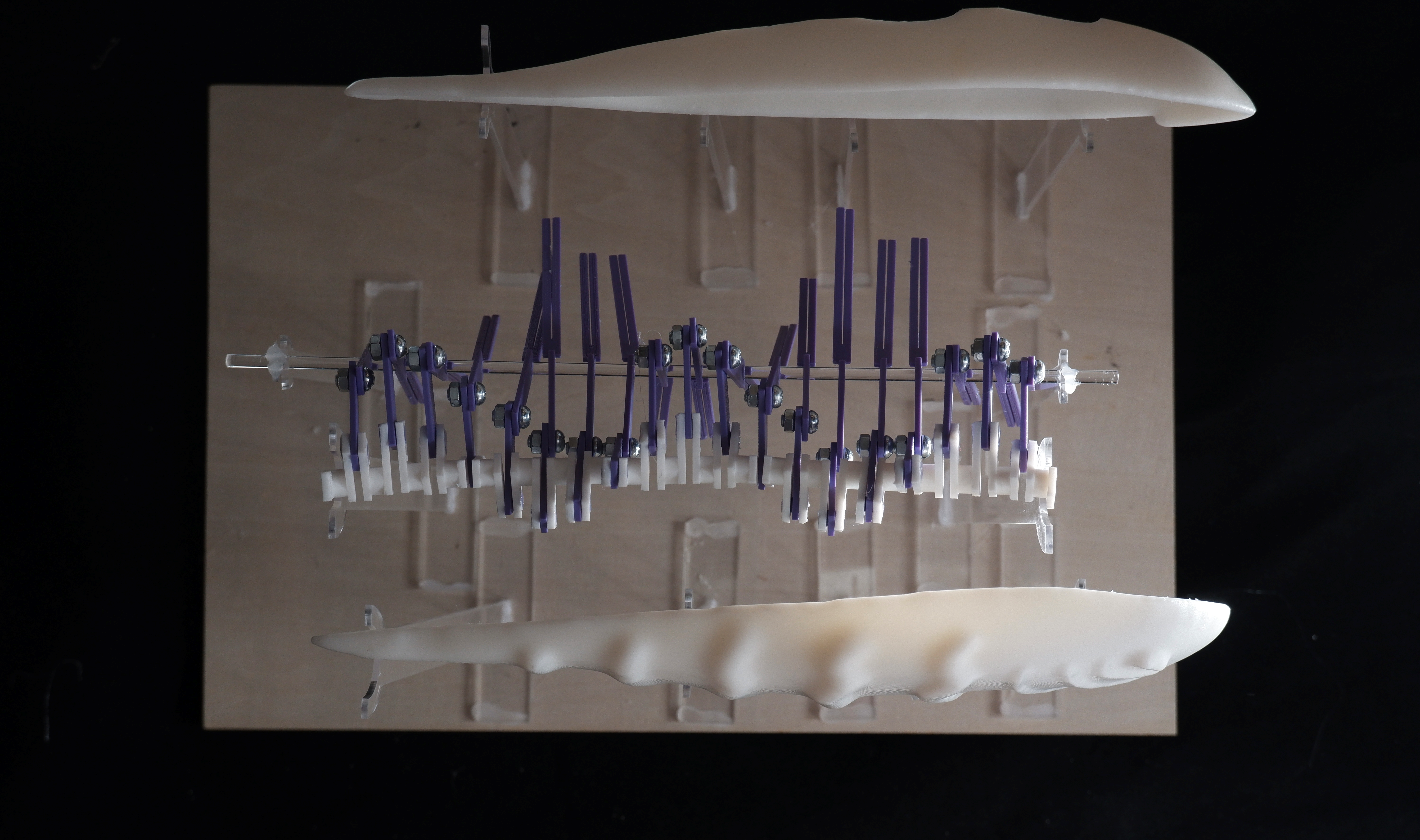 清华大学-未来仿生机器人兴趣团队