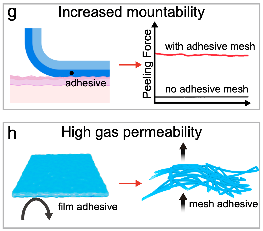 轻量可穿戴柔性-硬质电子系统组装技术