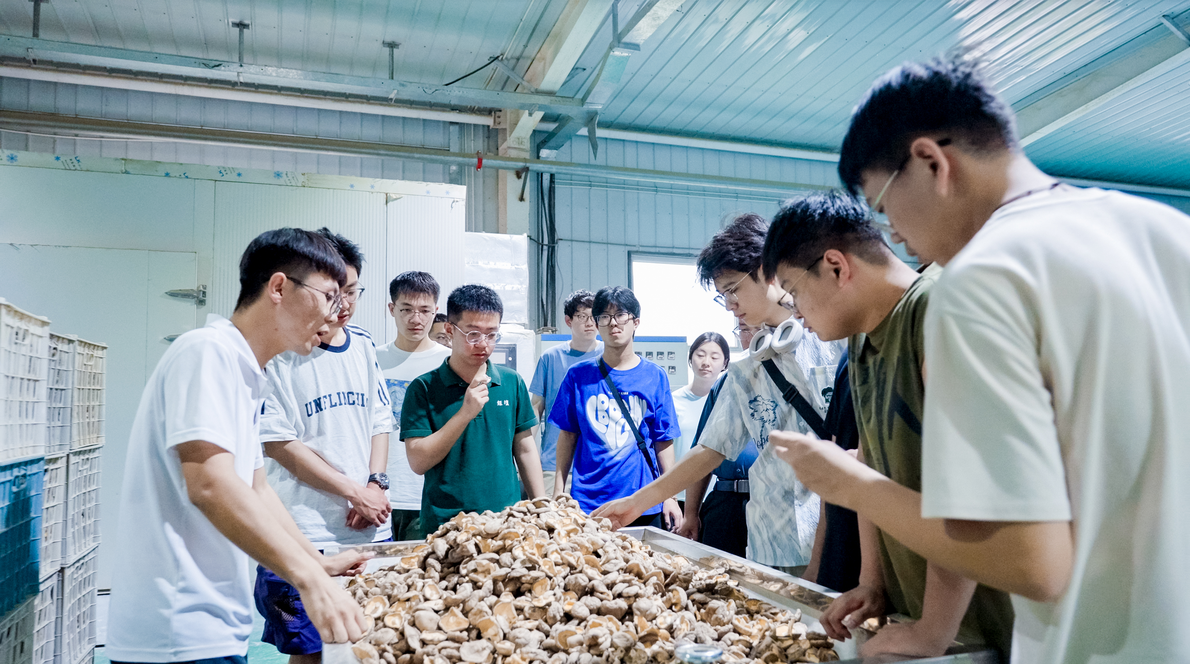 智慧农业--科技赋能边疆农业现代化之路实践