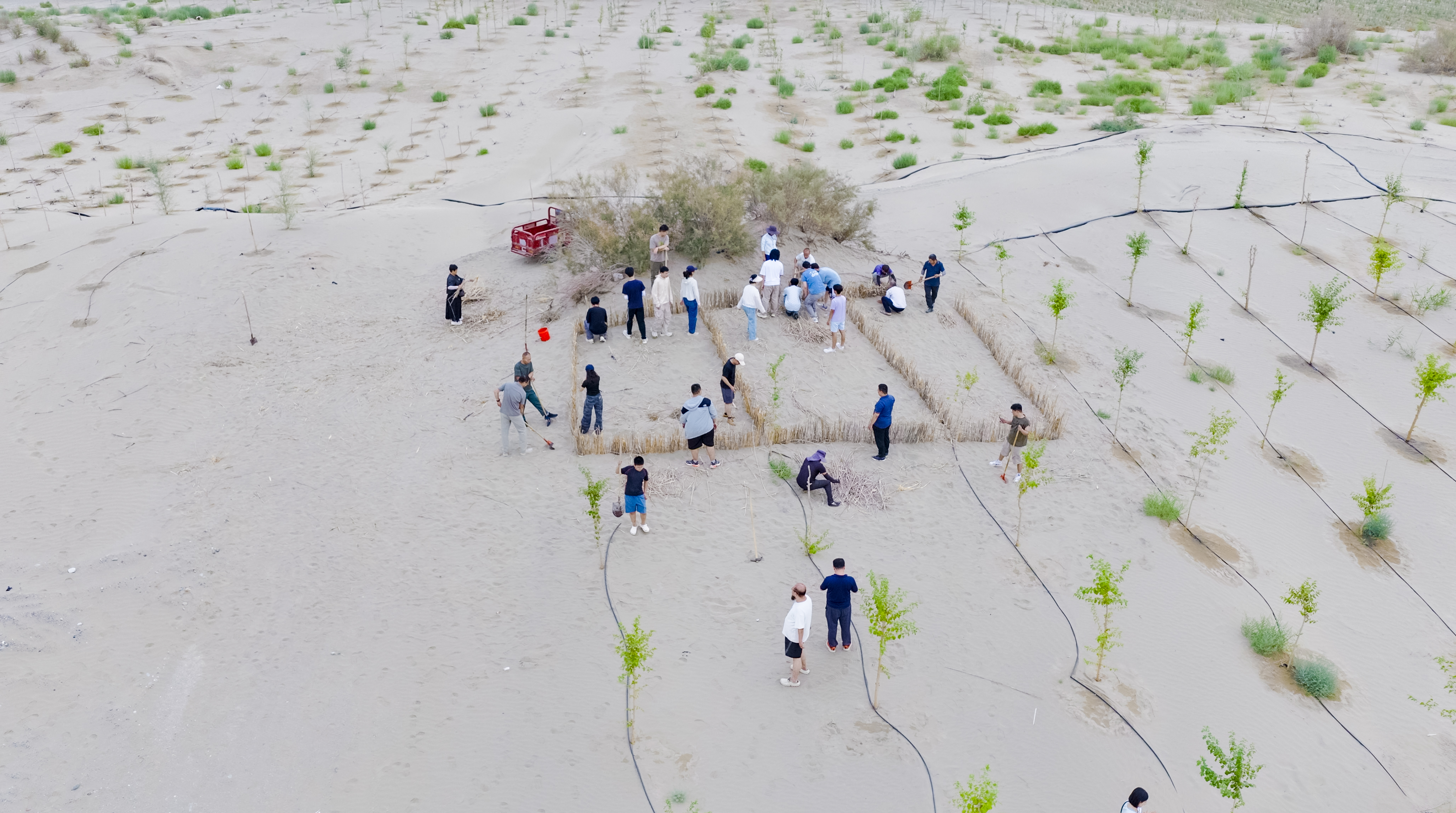 防⻛固沙--⽣态治理与绿⾊发展的和⽥实践