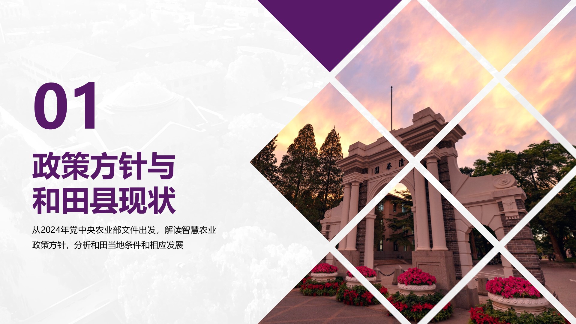 智慧农业组调研汇报